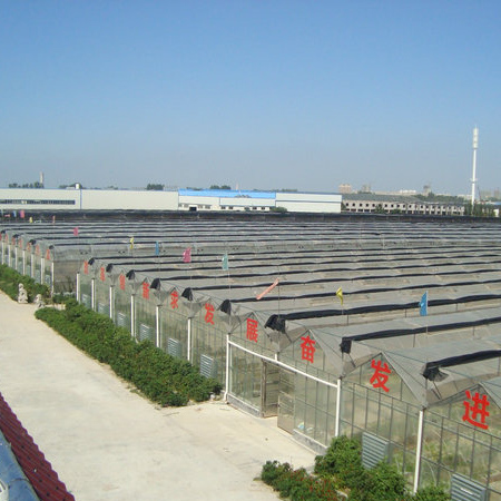 <p>汶上縣金鉆石材有限公司</p>